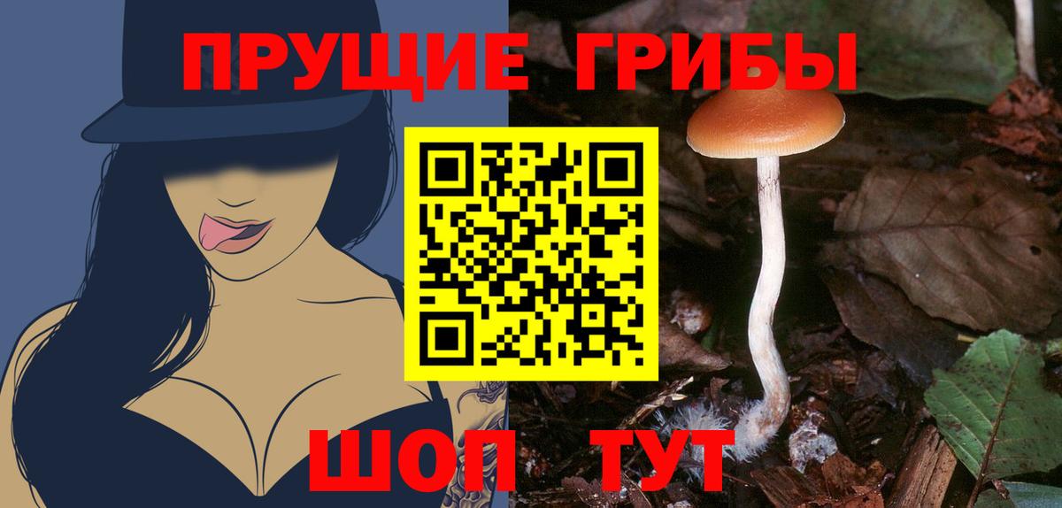 Галлюциногенные грибы Psilocybe  Галлюциногенные грибы Psilocybe  Верхний Уфалей  Вход с VPN 